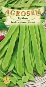 Seminte Fasole Marconi 10g - recolta bogata, Agrosem